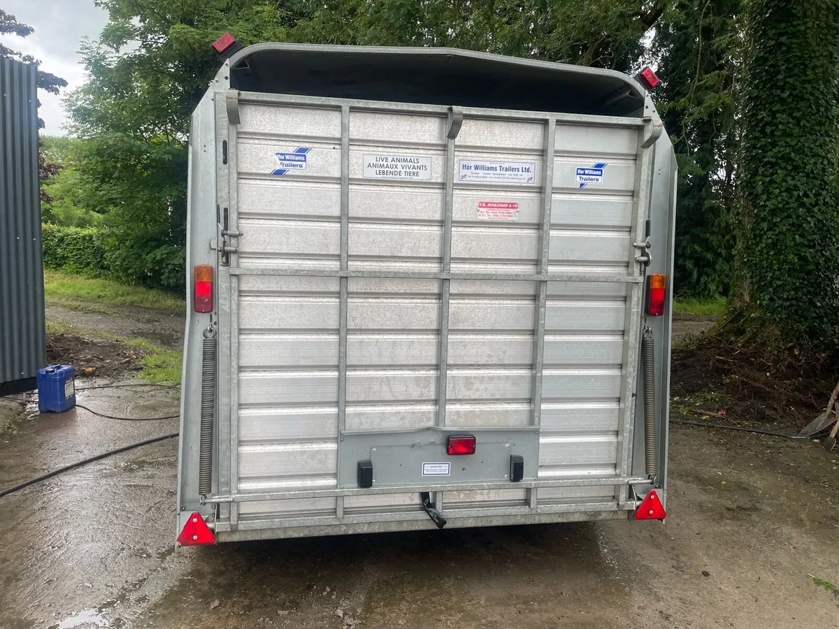Ifor Williams 10x 6 cattle trailer - Image 4