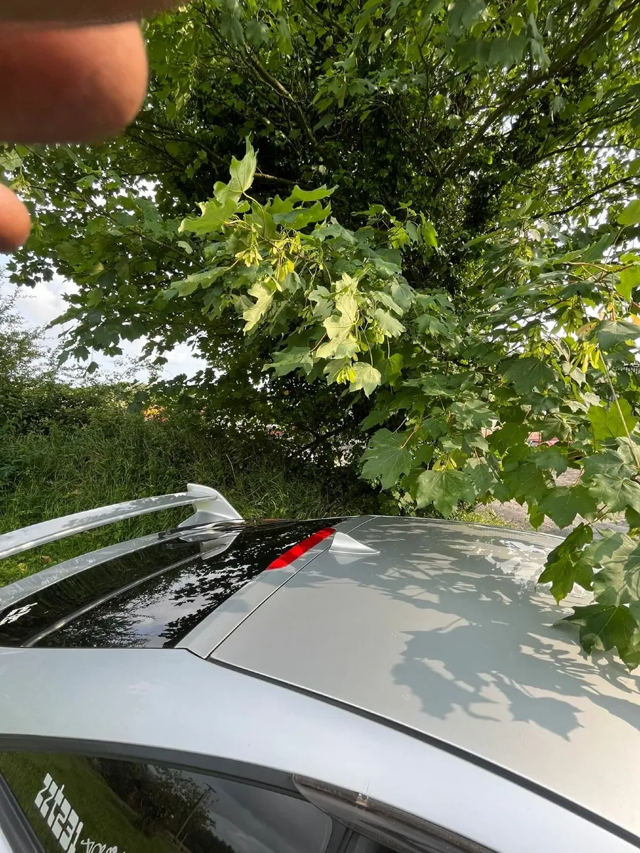 Toyota Celica 2000 - Image 3