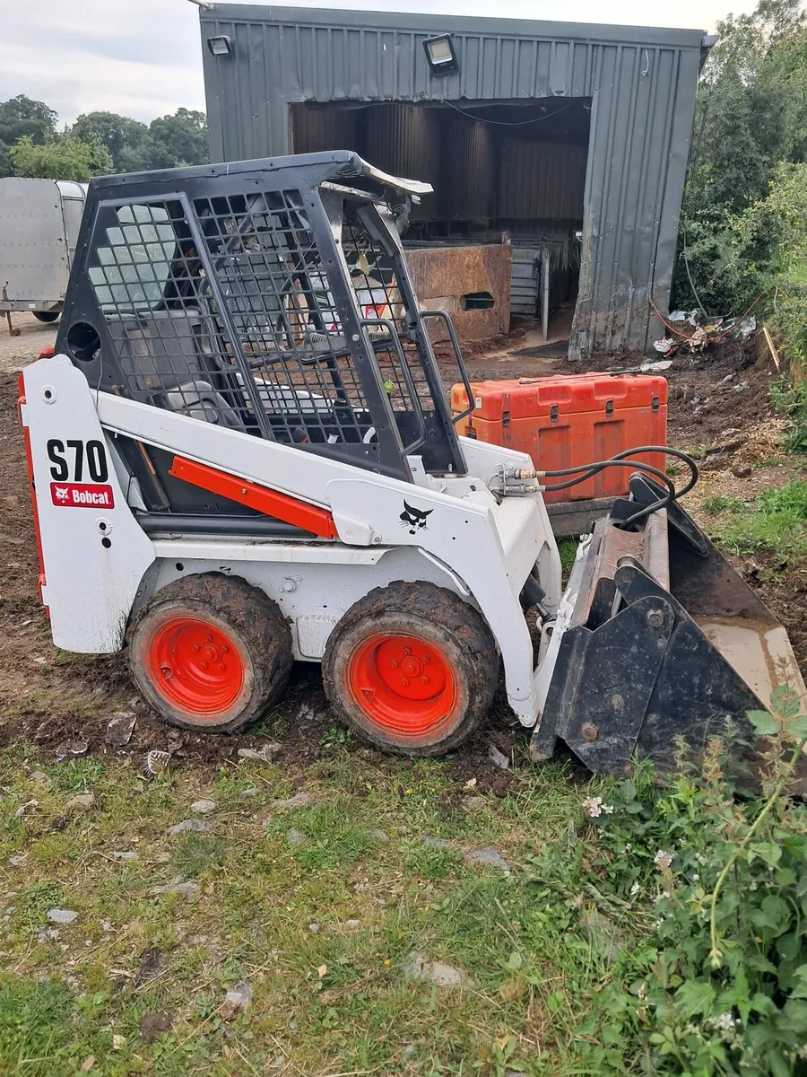 Bobcat - Image 1