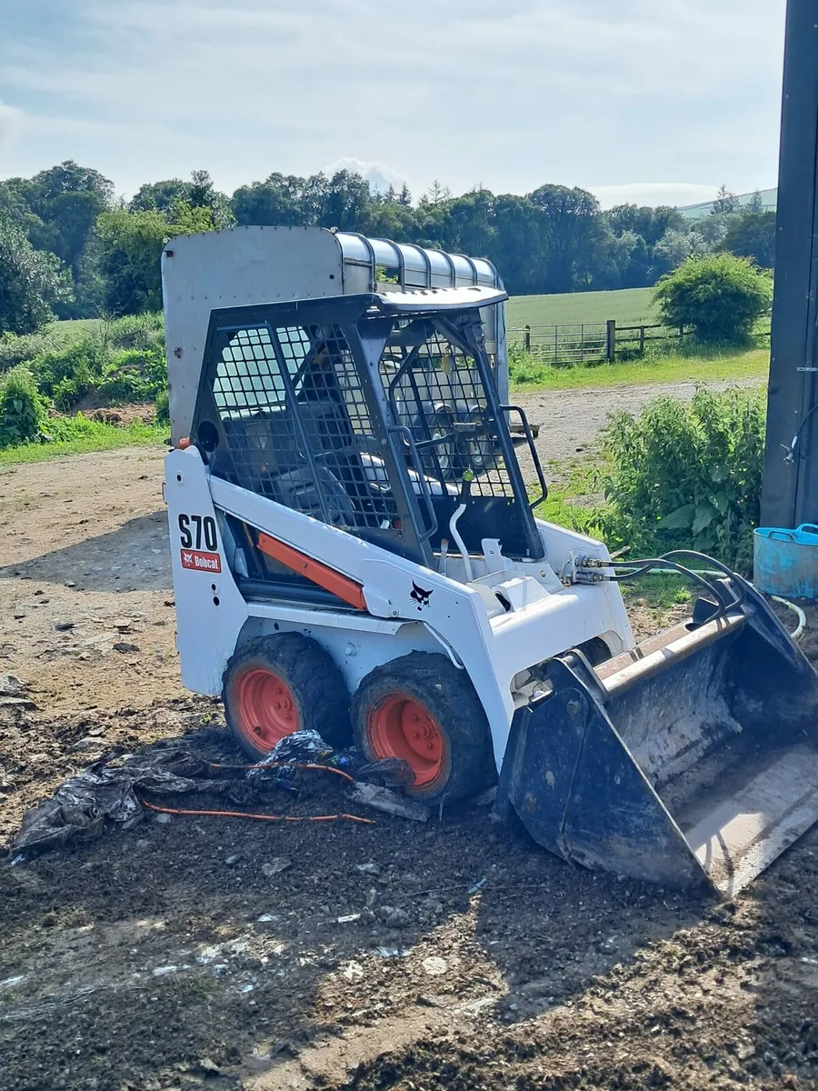 Bobcat - Image 2