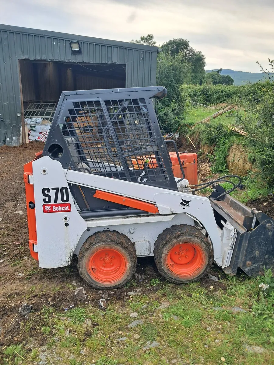 Bobcat - Image 4
