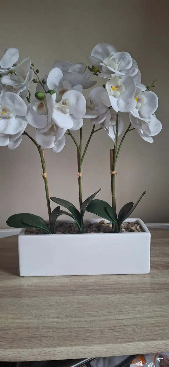 Flowers - Image 1