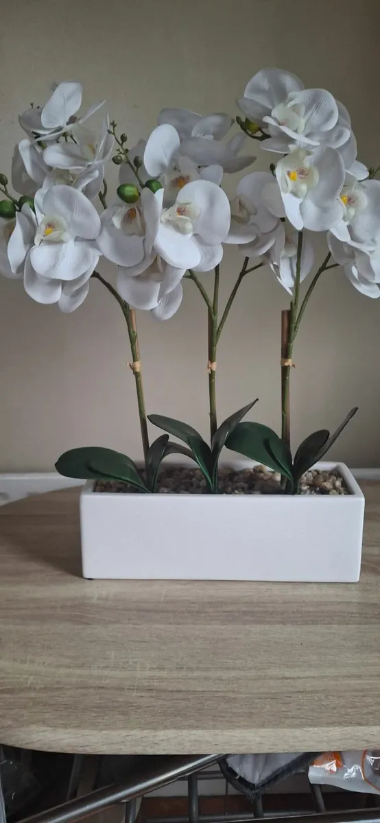 Flowers - Image 2