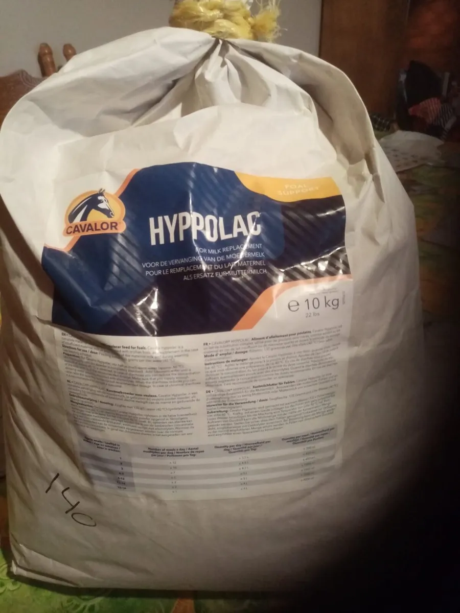 Foal milk replacer