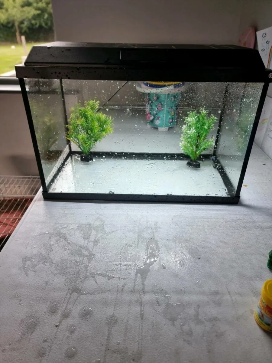 Fish tank - Image 1