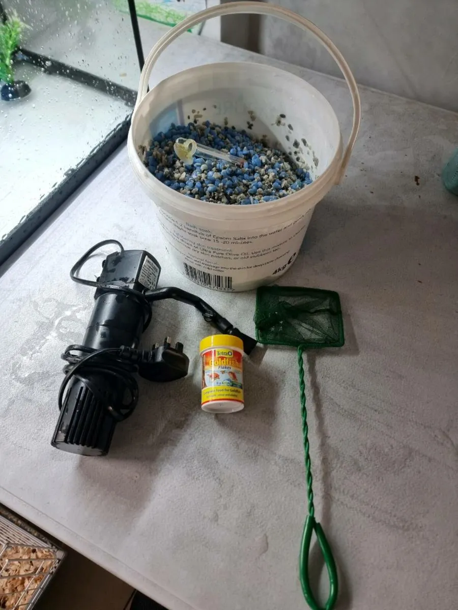 Fish tank - Image 2