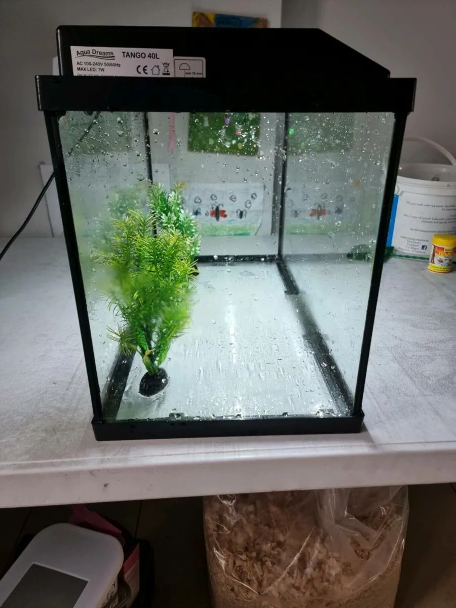 Fish tank - Image 3