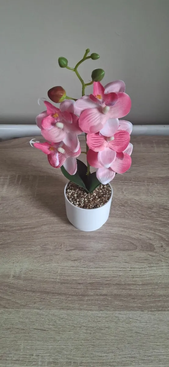 Flower - Image 1