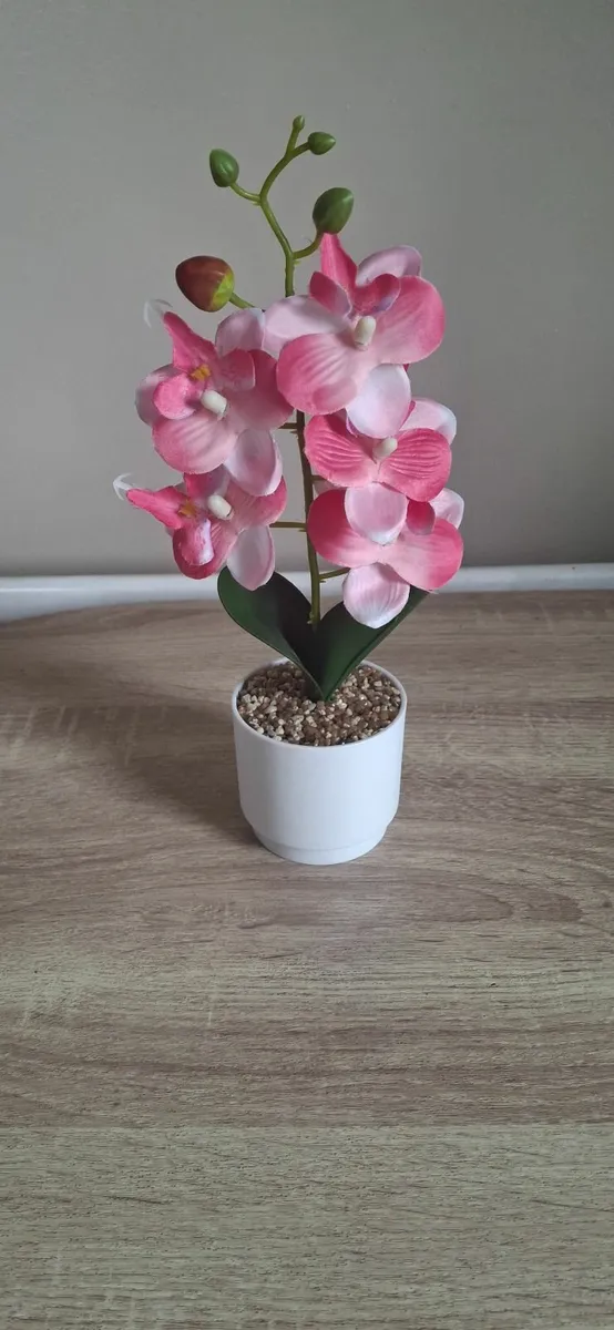 Flower - Image 2