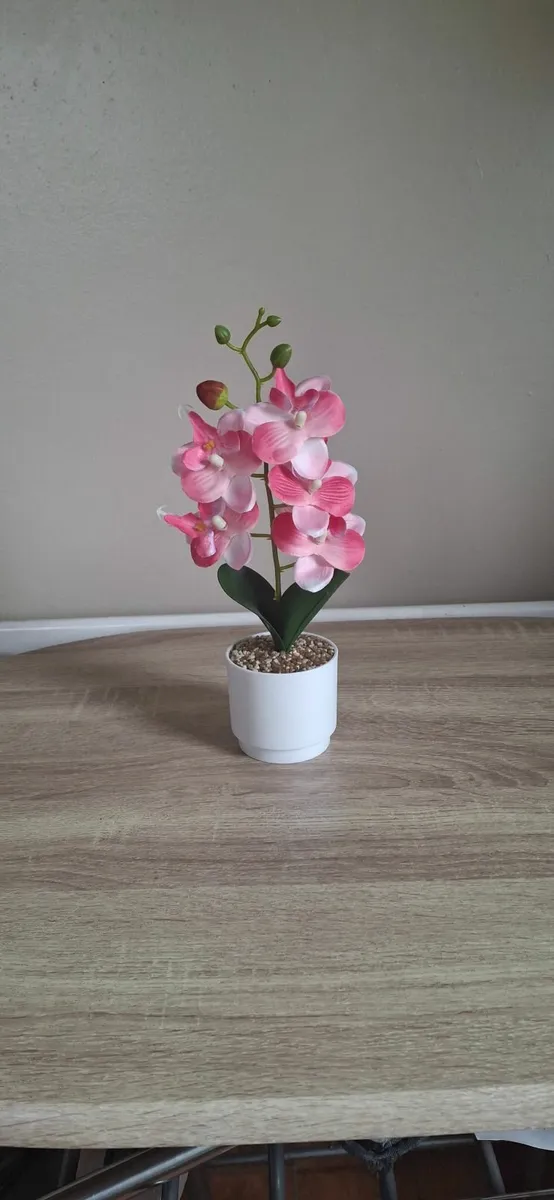 Flower - Image 3