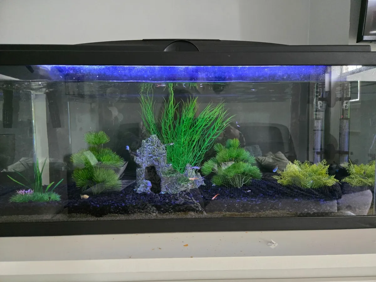 Fish tank - Image 1