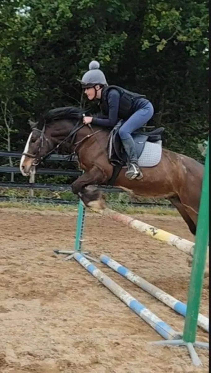 Superstar pony - Image 1