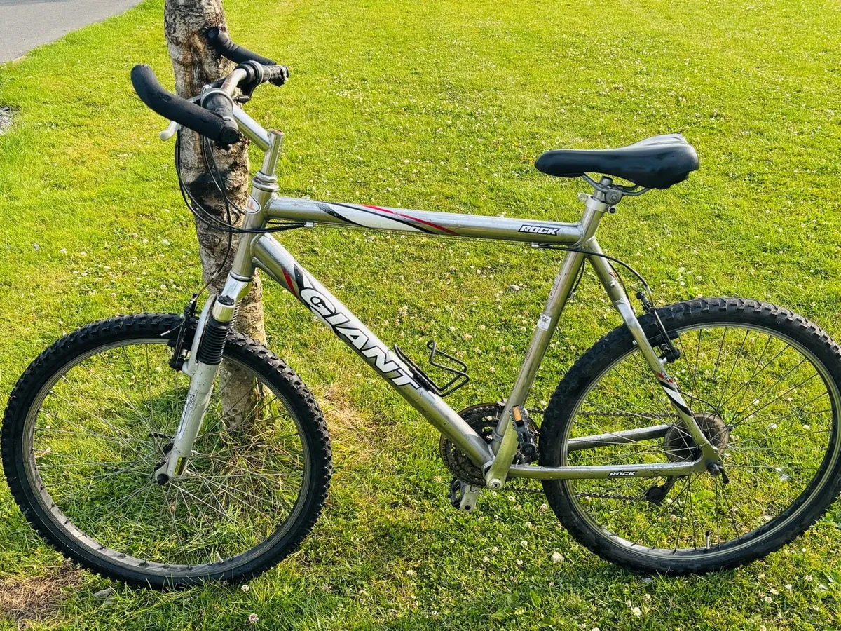 Giant bicycle for sale - Image 1