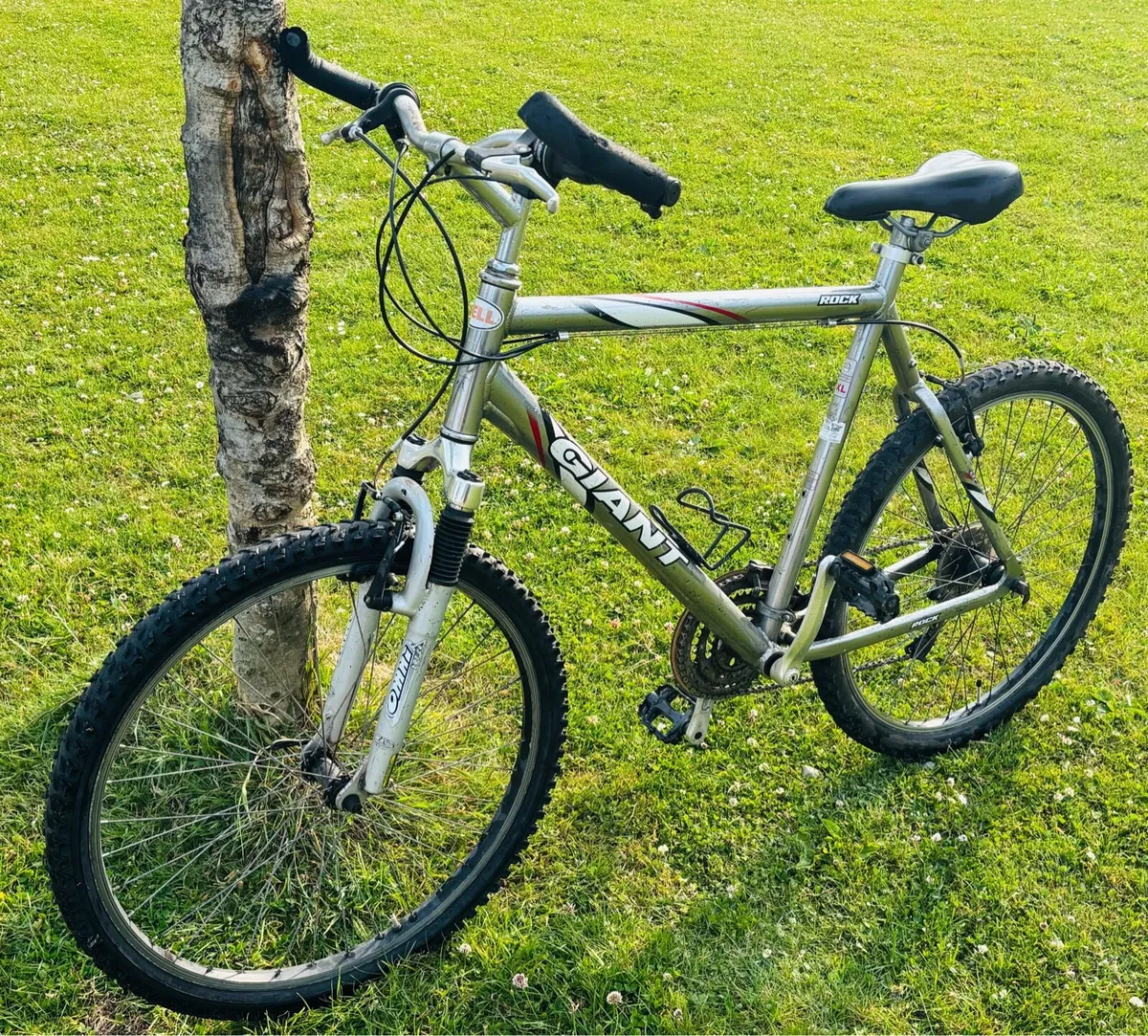 Giant bicycle for sale - Image 2