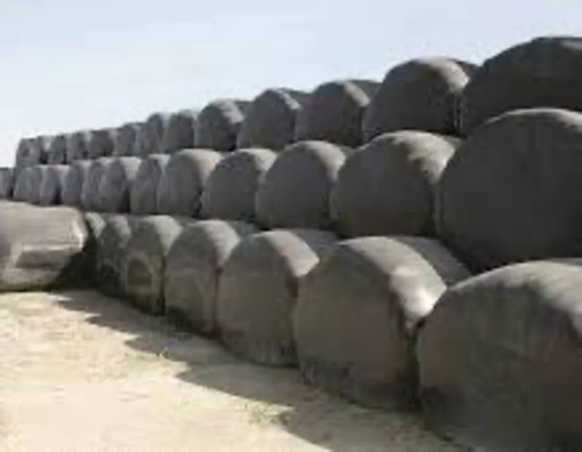 Silage bales