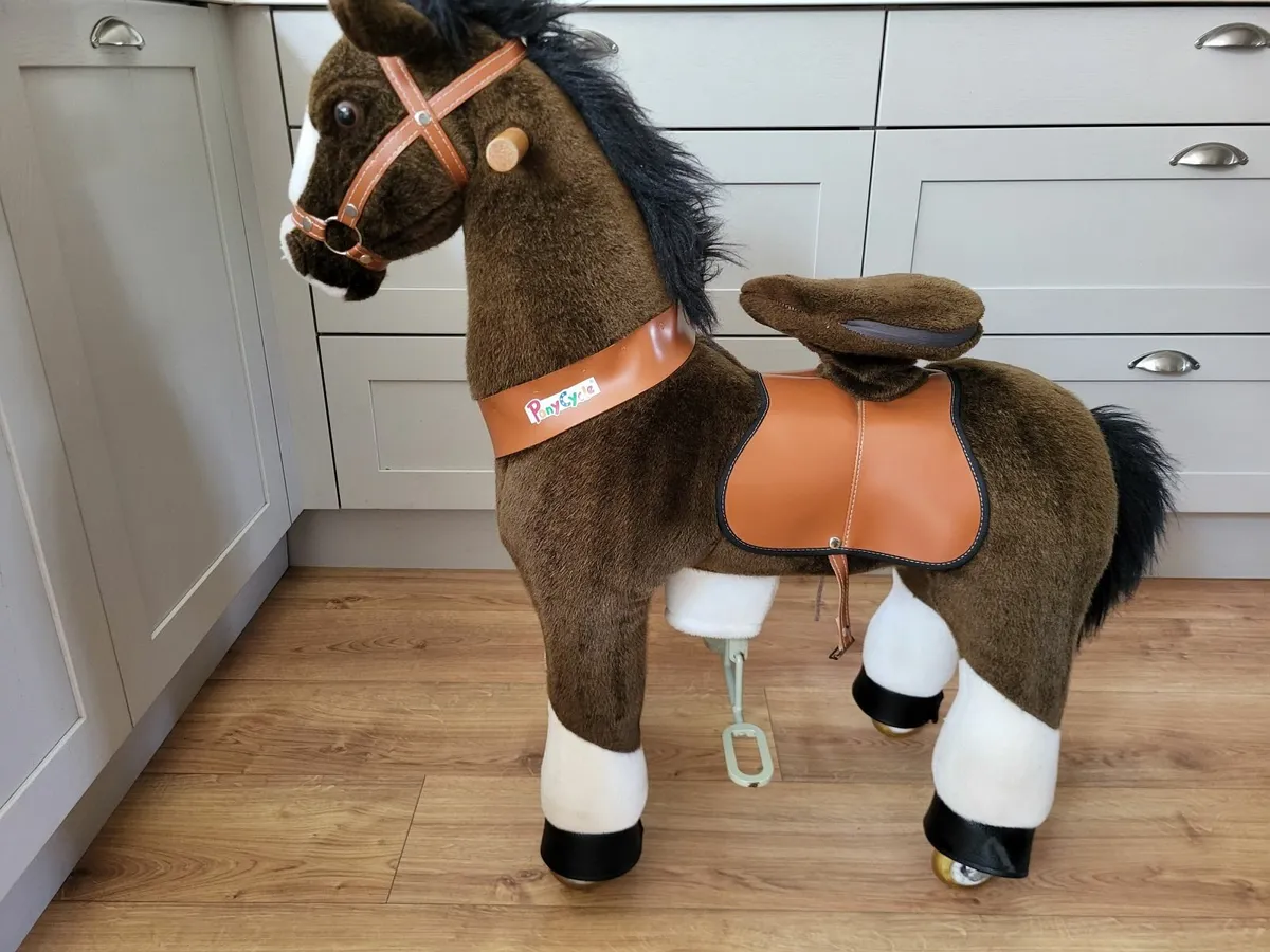 Ride on pony