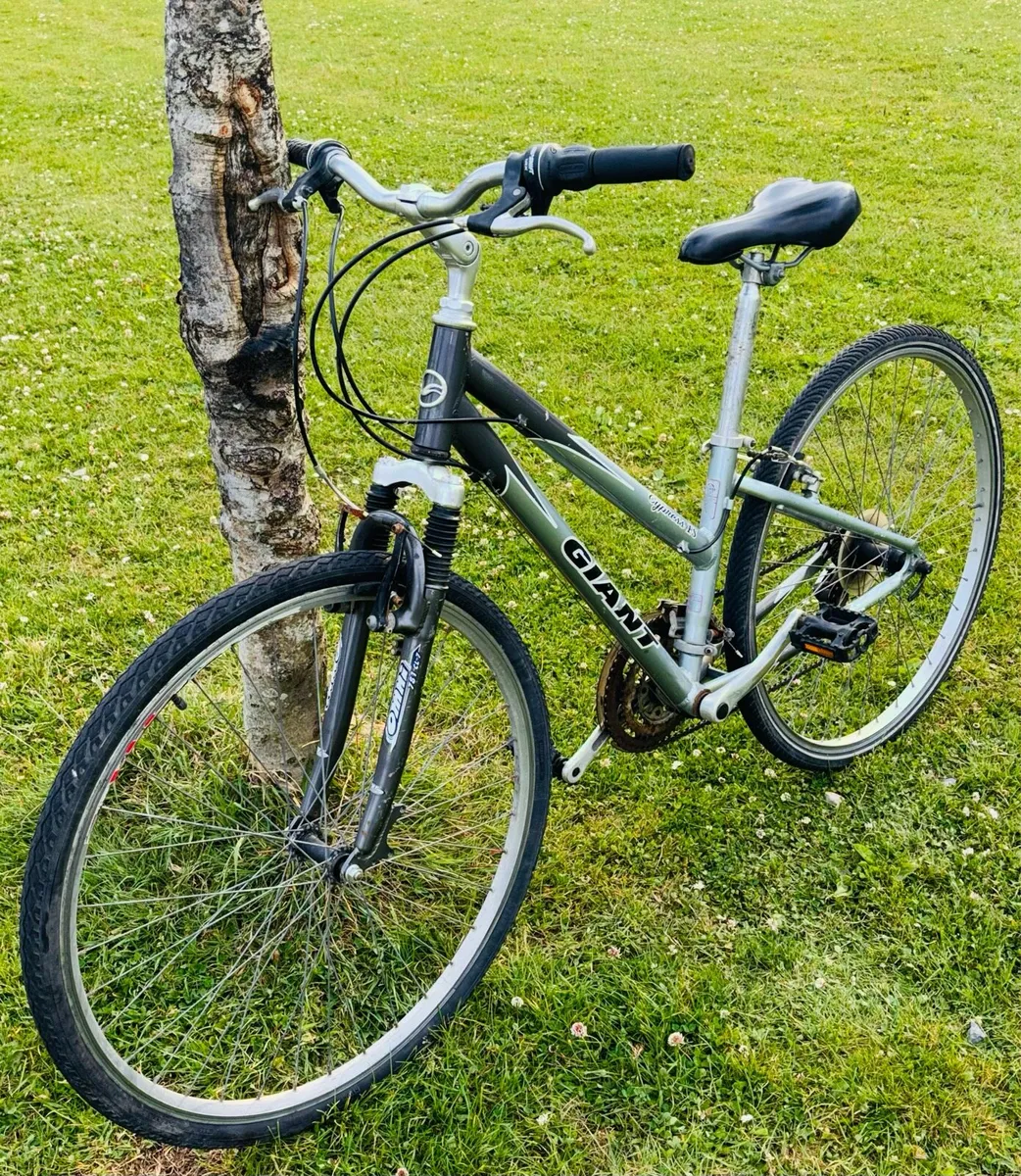 Giant bicycle for sale - Image 2