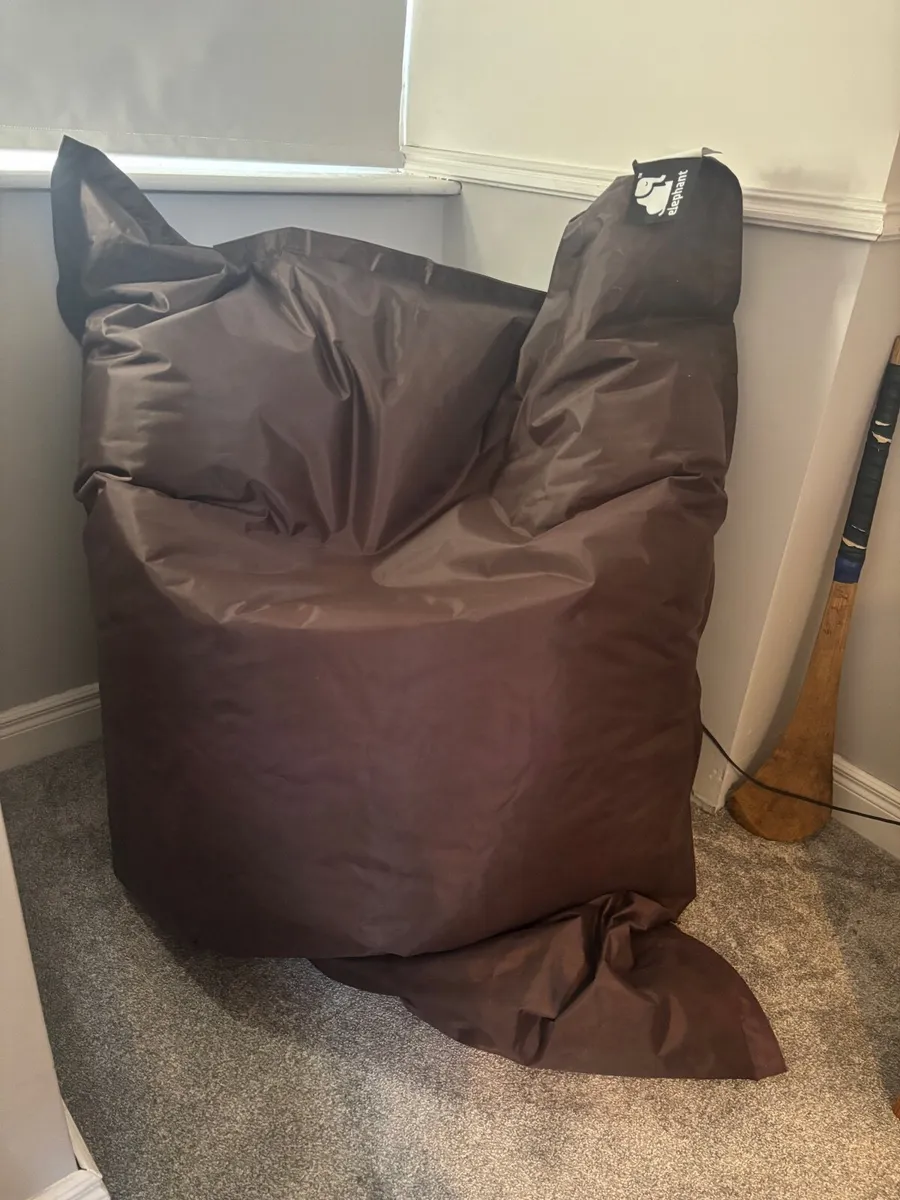 Large beanbag - Image 1