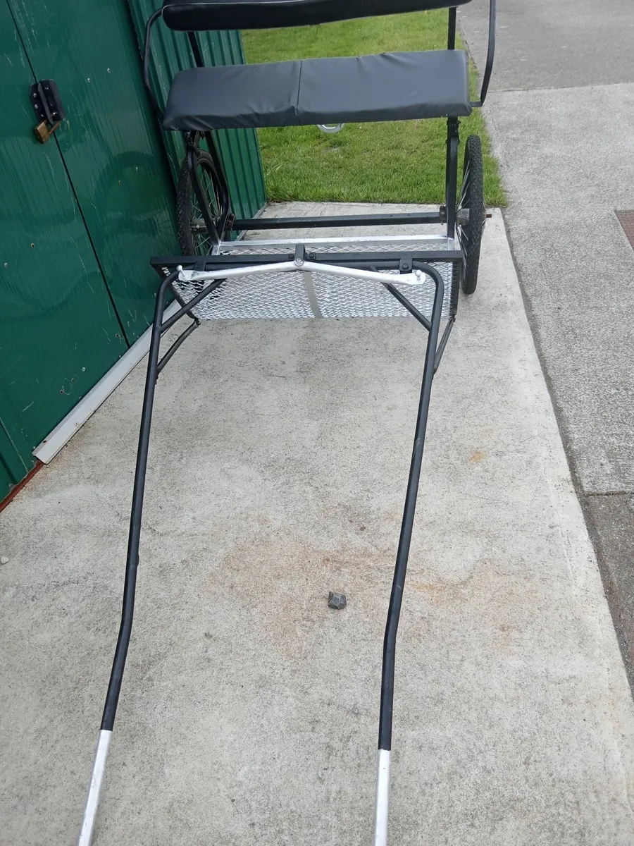 Pony Road cart - Image 1