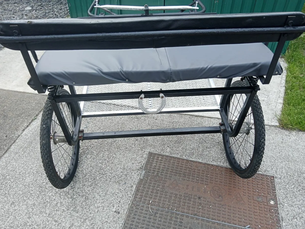 Pony Road cart - Image 3