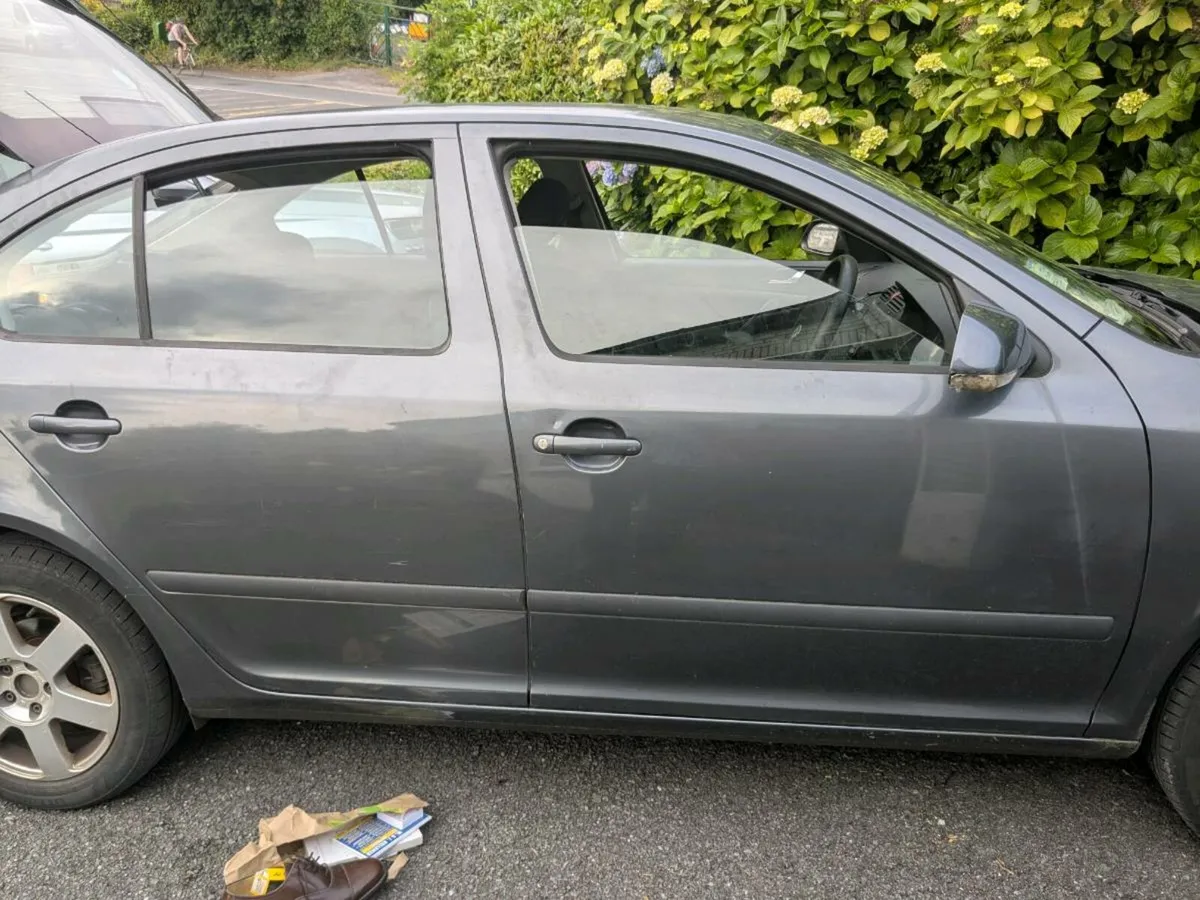 Skoda Octavia 1.9 Tdi - Image 3