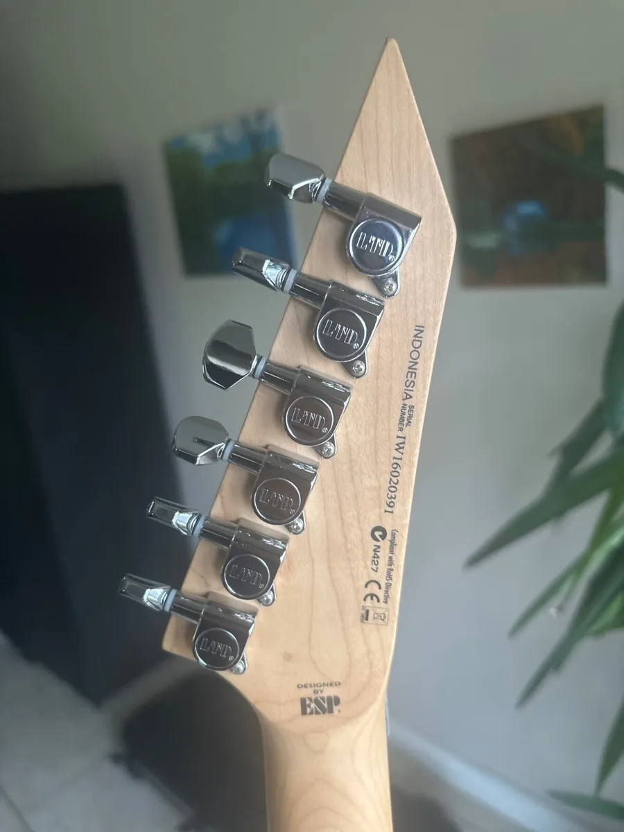 Ltd Esp 50fr, Case, Boss GT6, Marshall Mg100DFX - Image 4