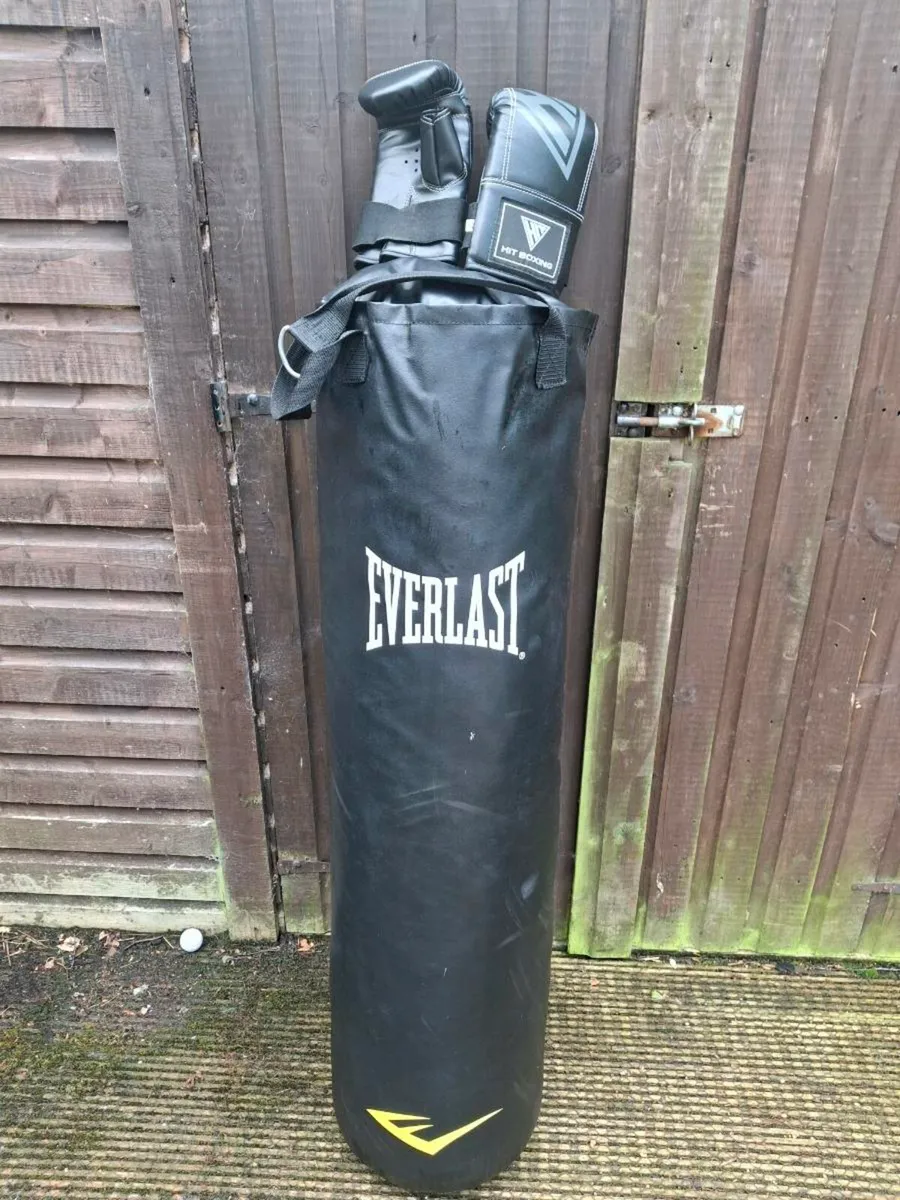 Boxing bag from Everlast - Image 1