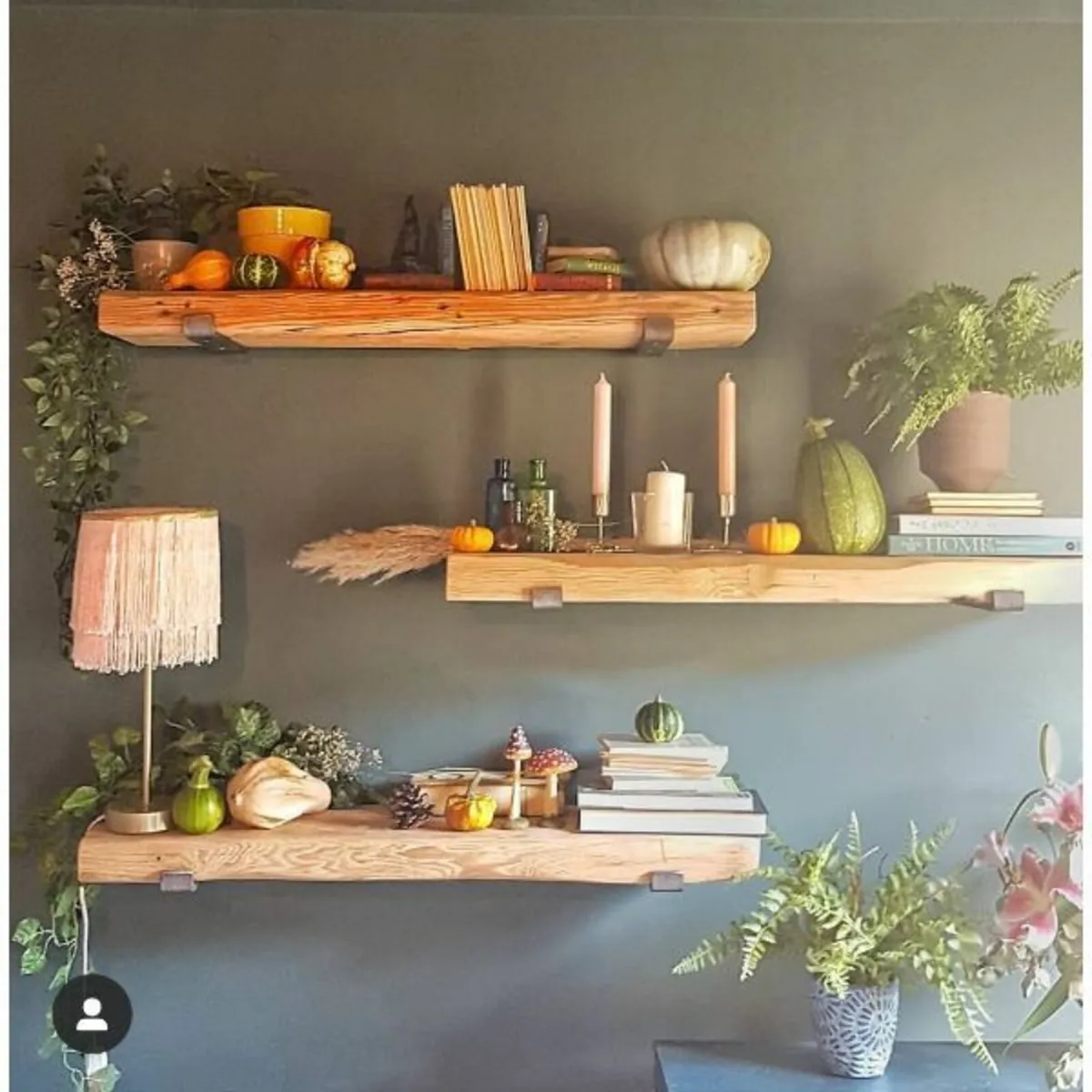 Pitch Pine Shelves – Examples  Cut to order - Image 1