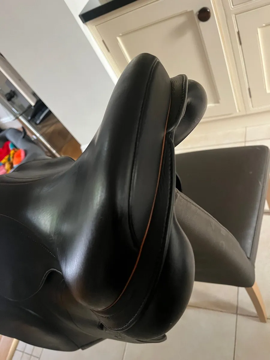 Equipe Expression Saddle - Image 2