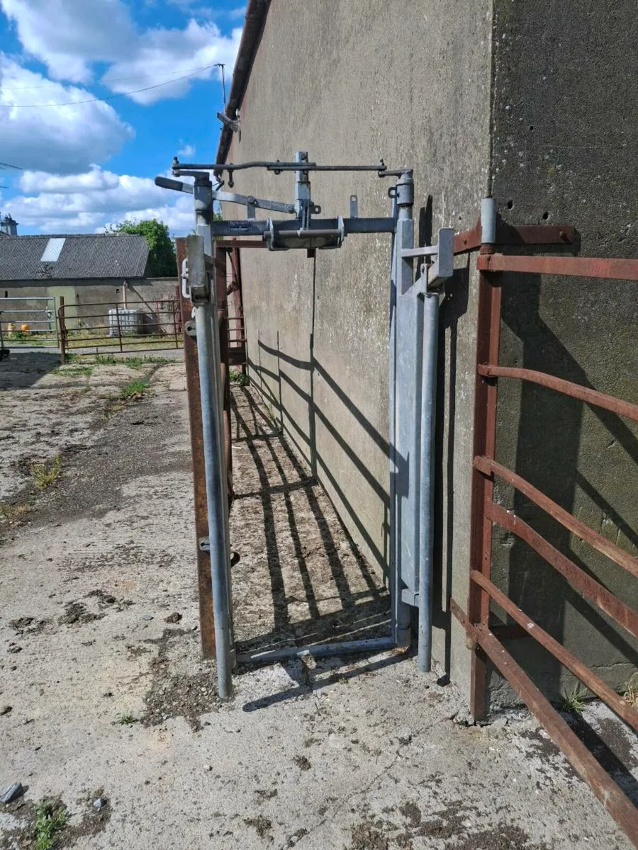 Crush gate - Image 3
