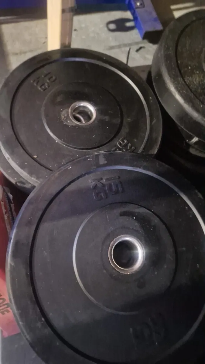 Swiss bumper plates - Image 1