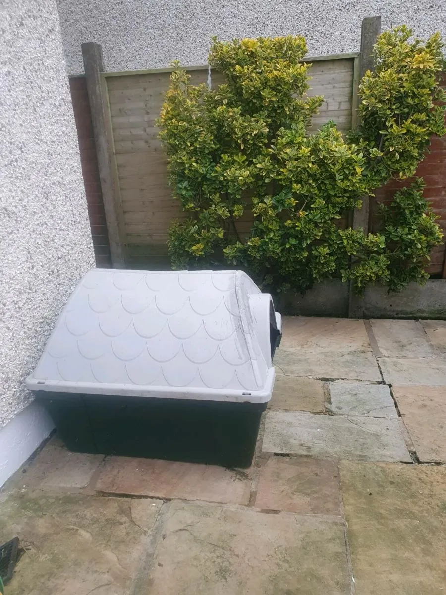 Dog kennel
