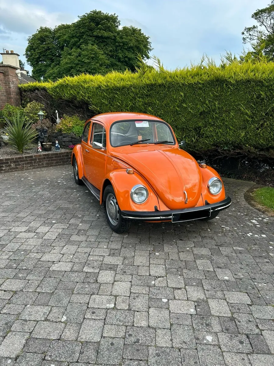 Volkswagen Beetle - Image 2