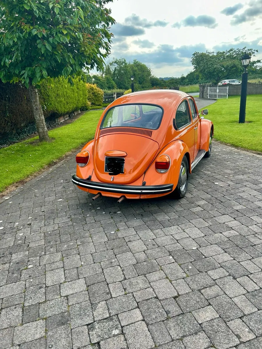 Volkswagen Beetle - Image 3