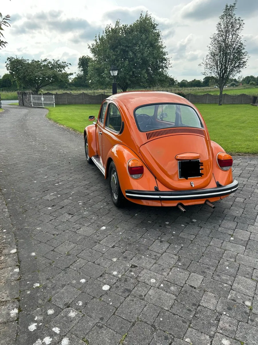 Volkswagen Beetle - Image 4