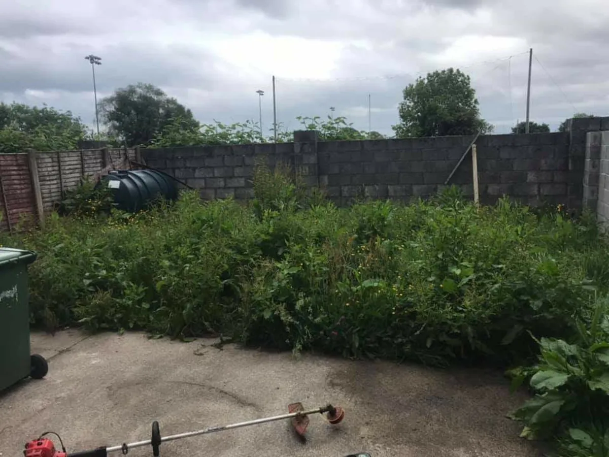 Md grass cutting and strimming services - Image 1
