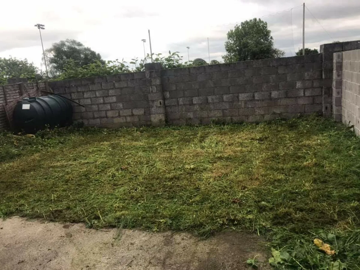 Md grass cutting and strimming services - Image 2