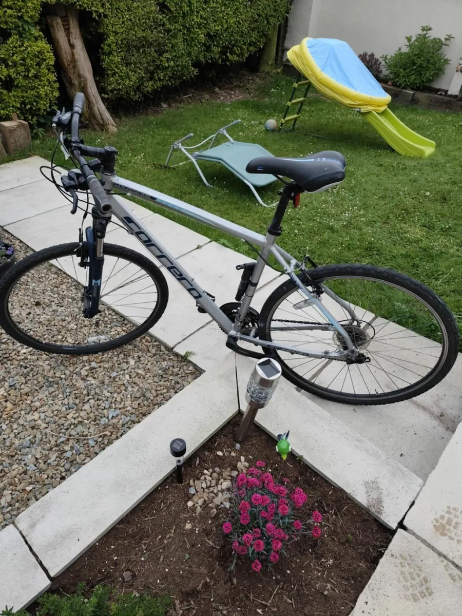 Bicycle - Image 4
