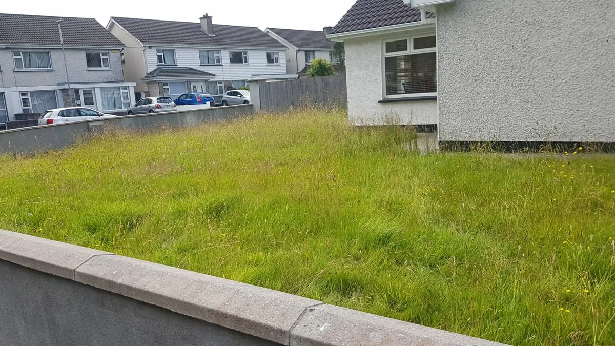 Md grass cutting and strimming services - Image 3