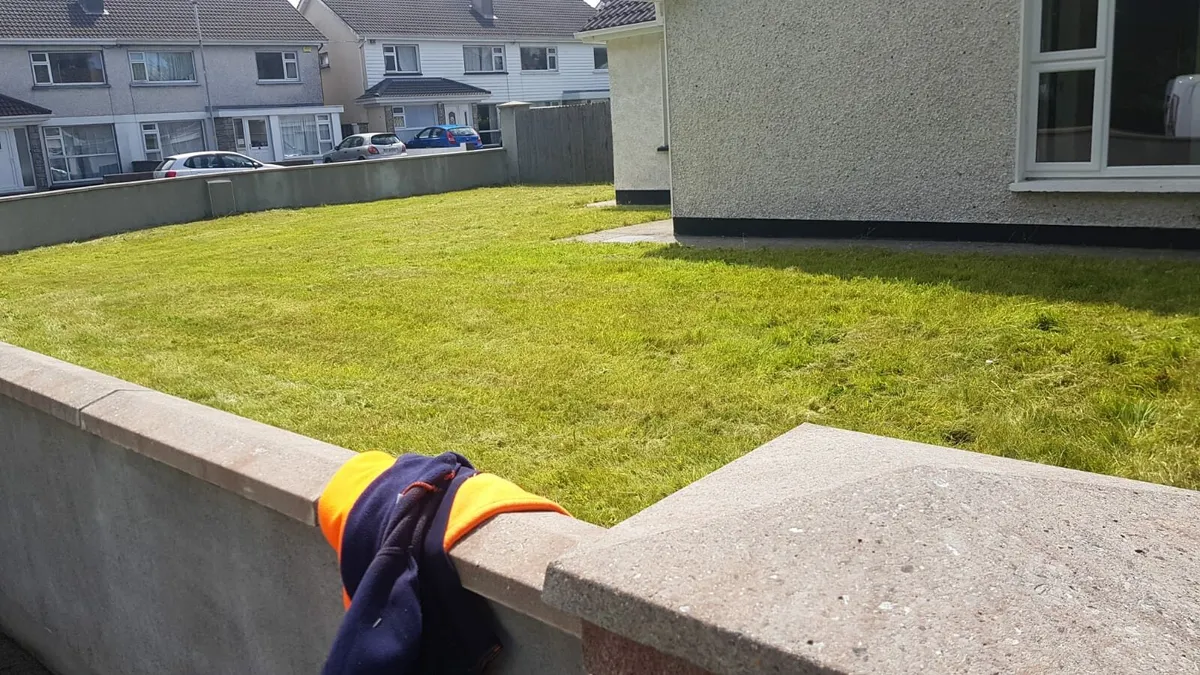 Md grass cutting and strimming services - Image 4