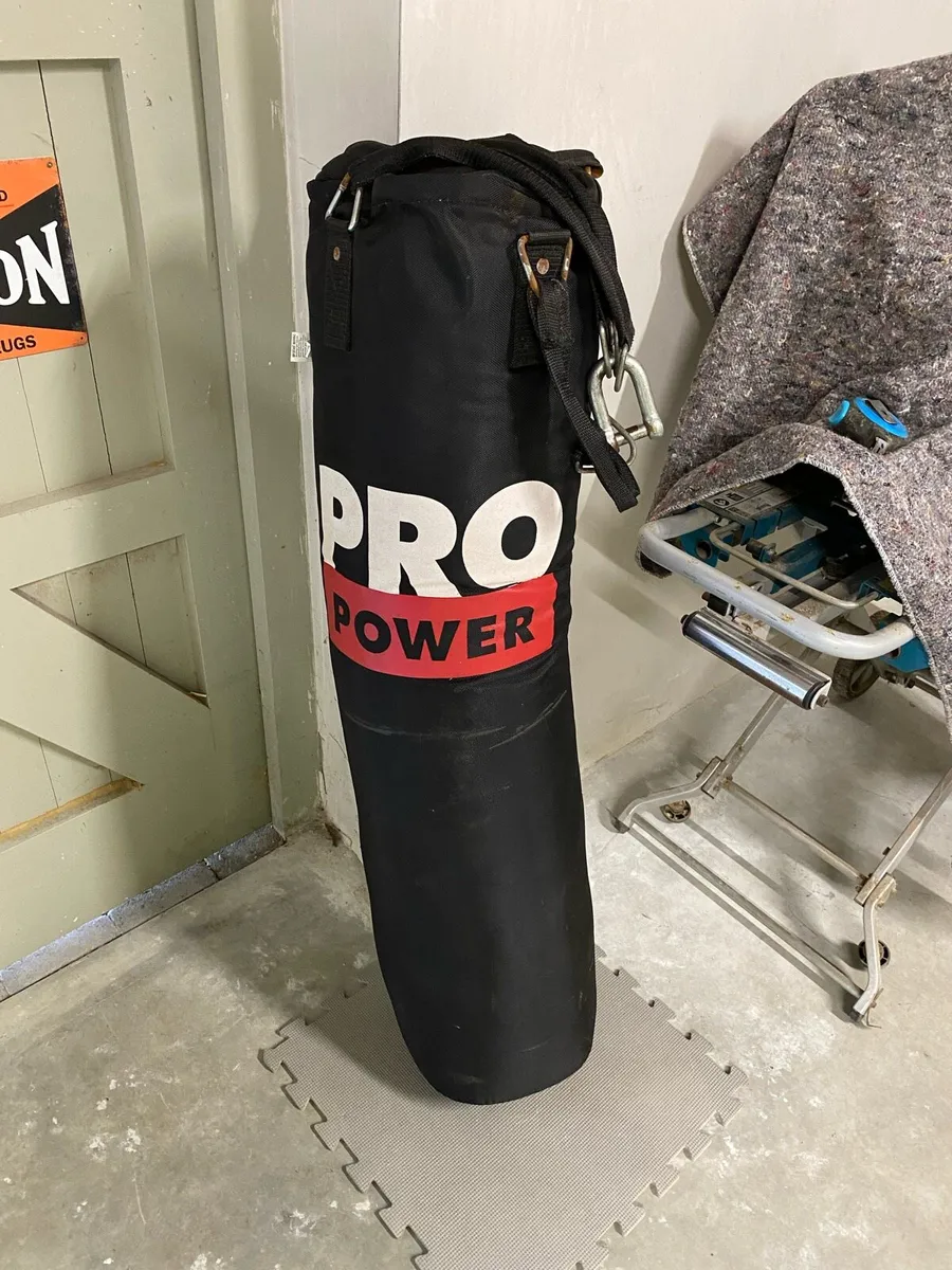 Pro Power 4ft (120cm) Punch Bag