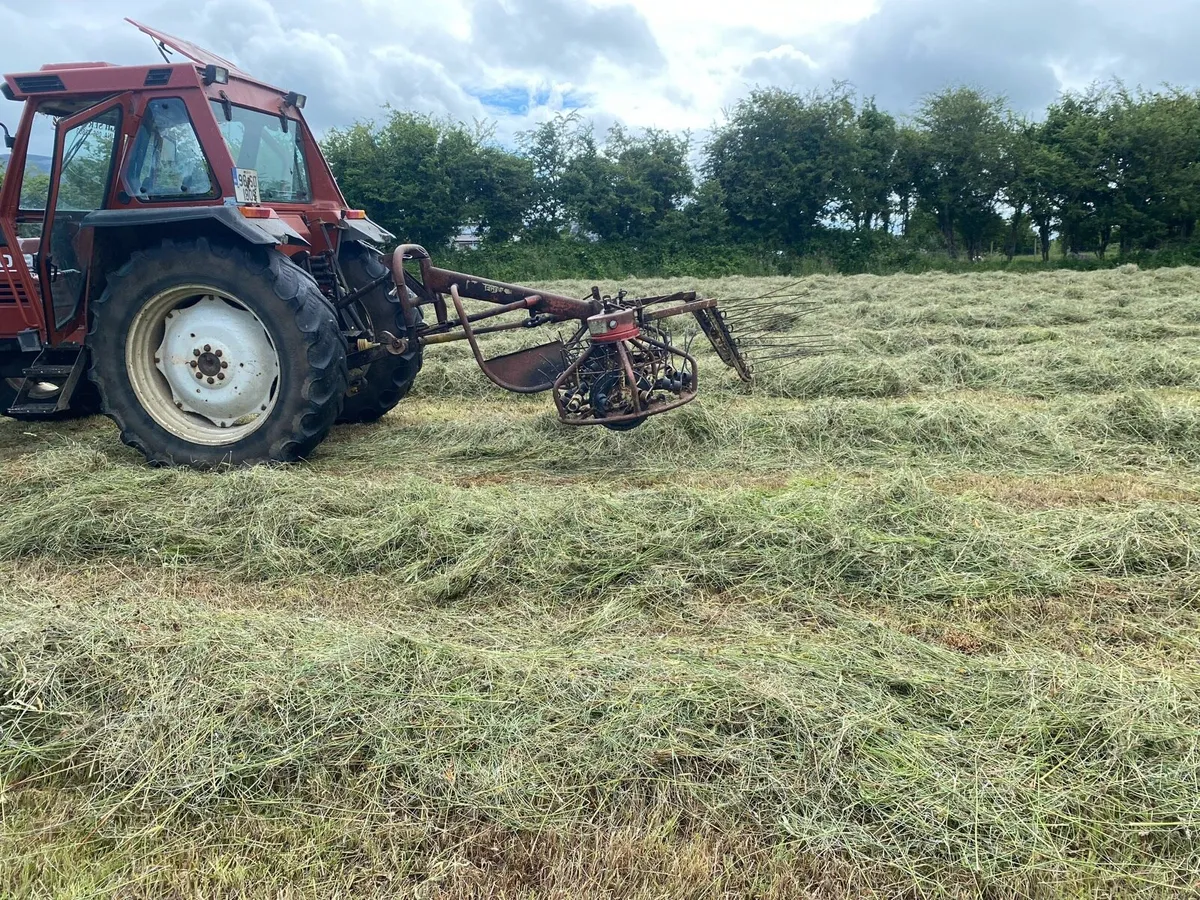 Hay bob - Image 1