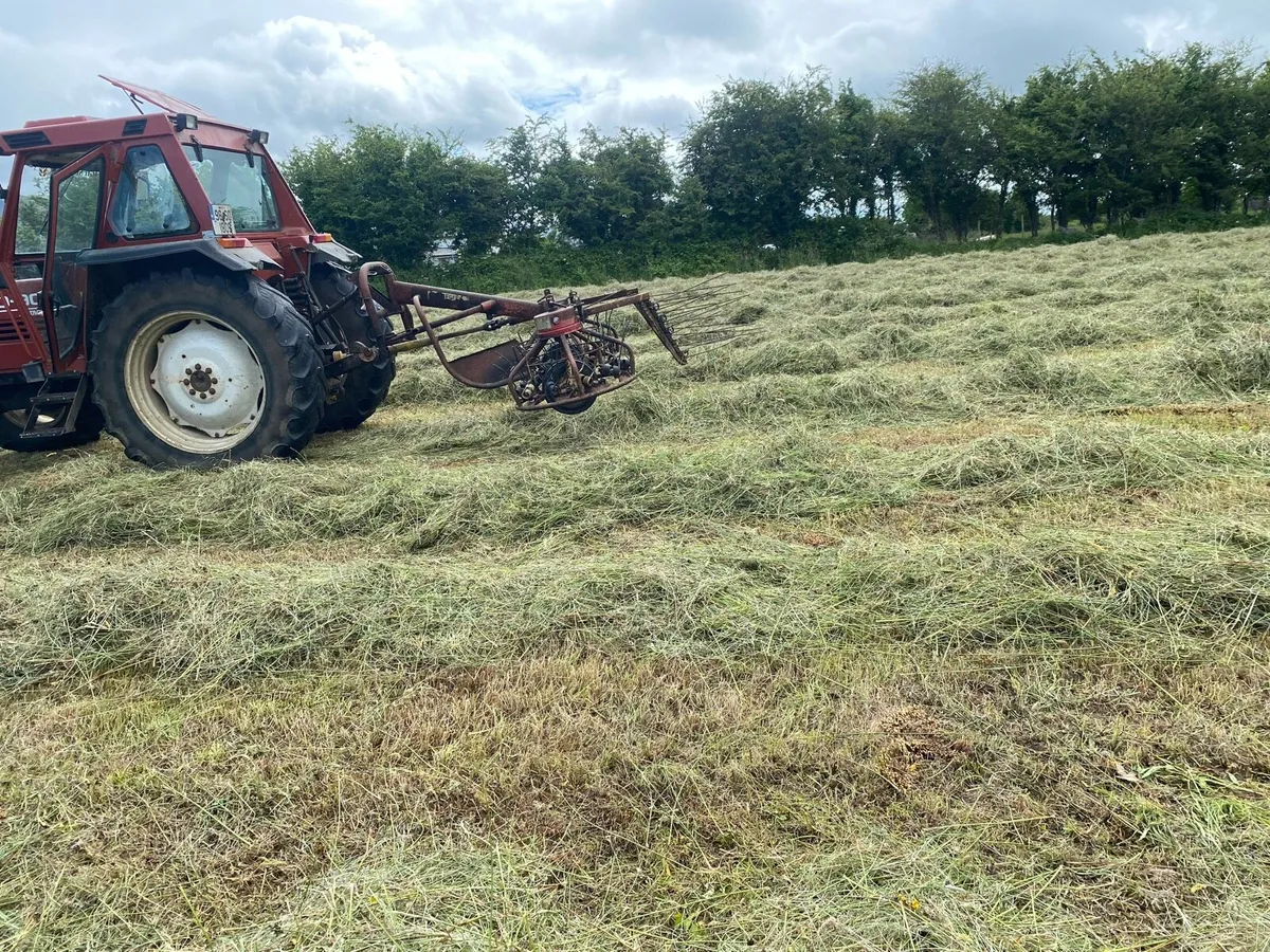 Hay bob - Image 2