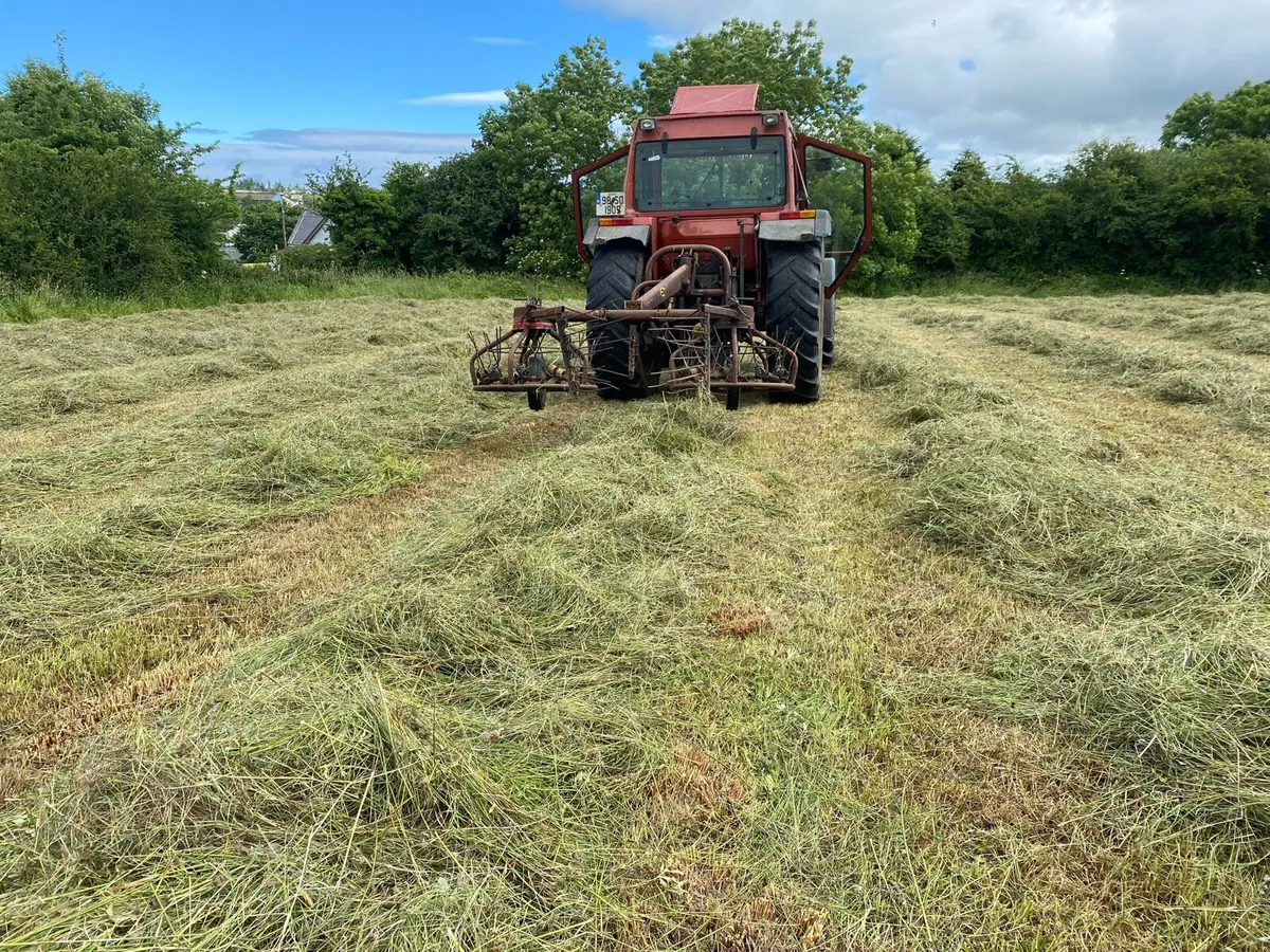 Hay bob - Image 3