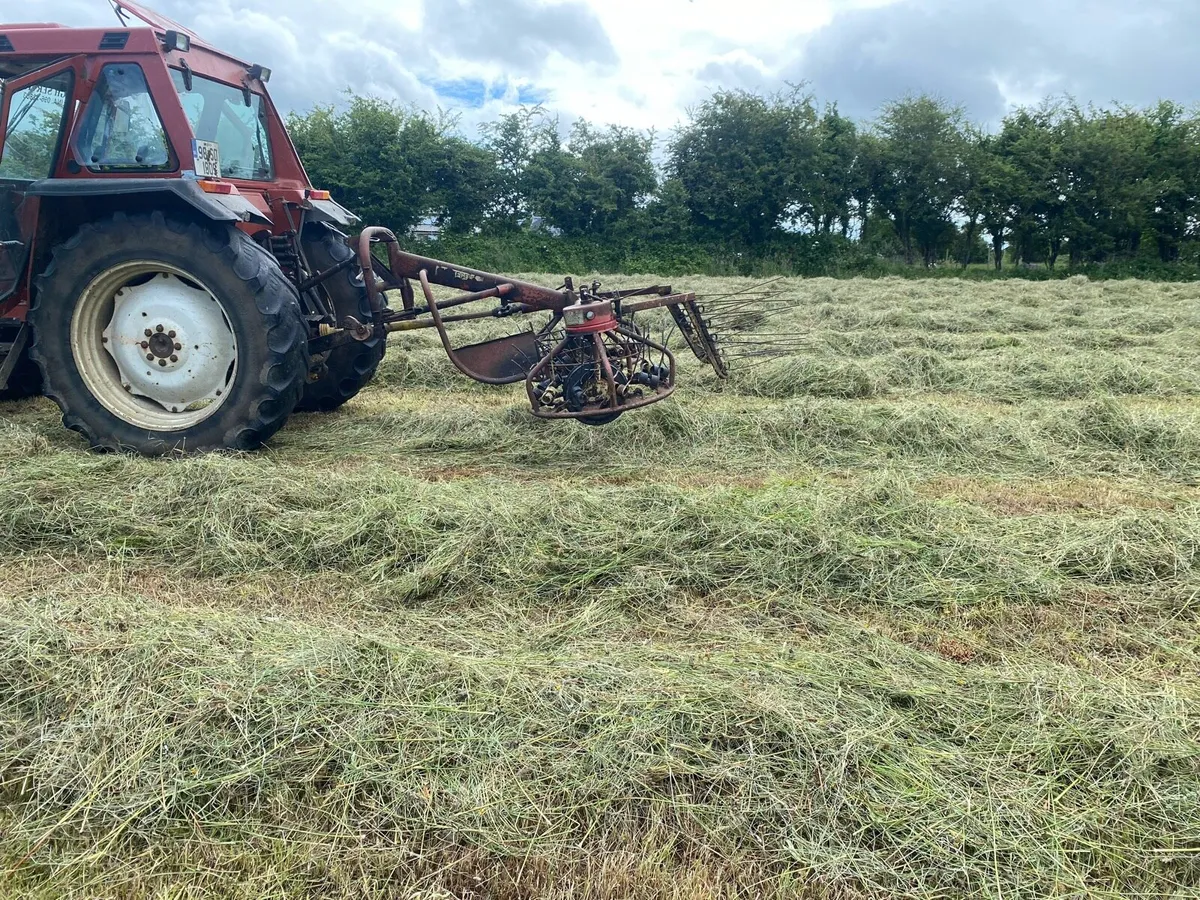 Hay bob - Image 4