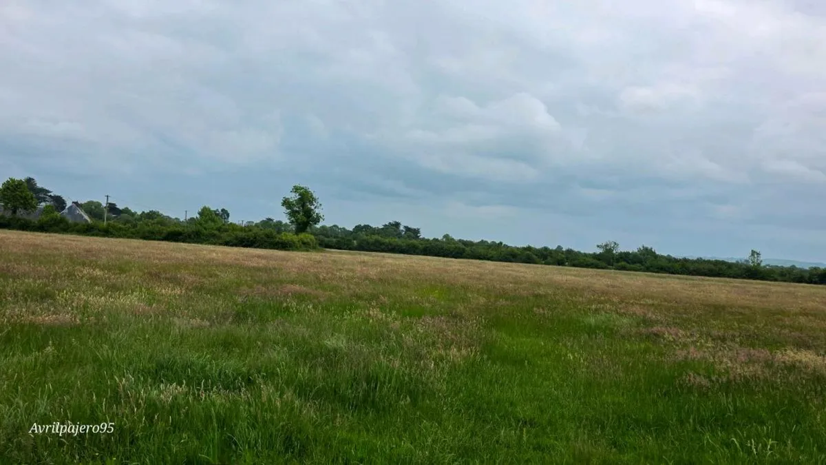 100 Acres of Meadowing to let in lots