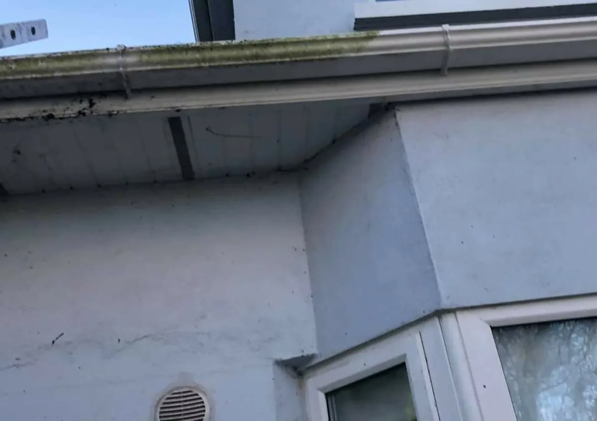 Gutter cleaning and repairing services - Image 2