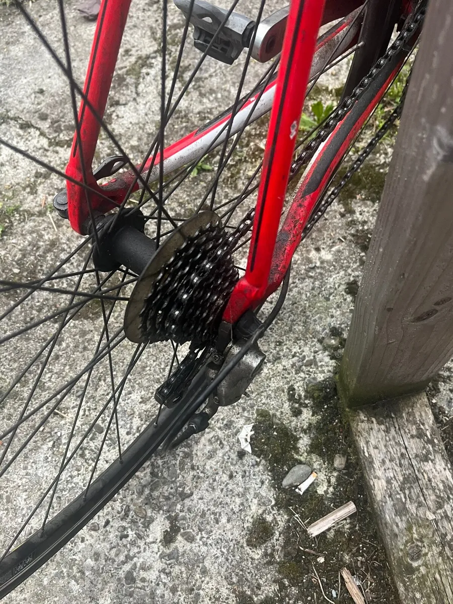 Bike - Image 2