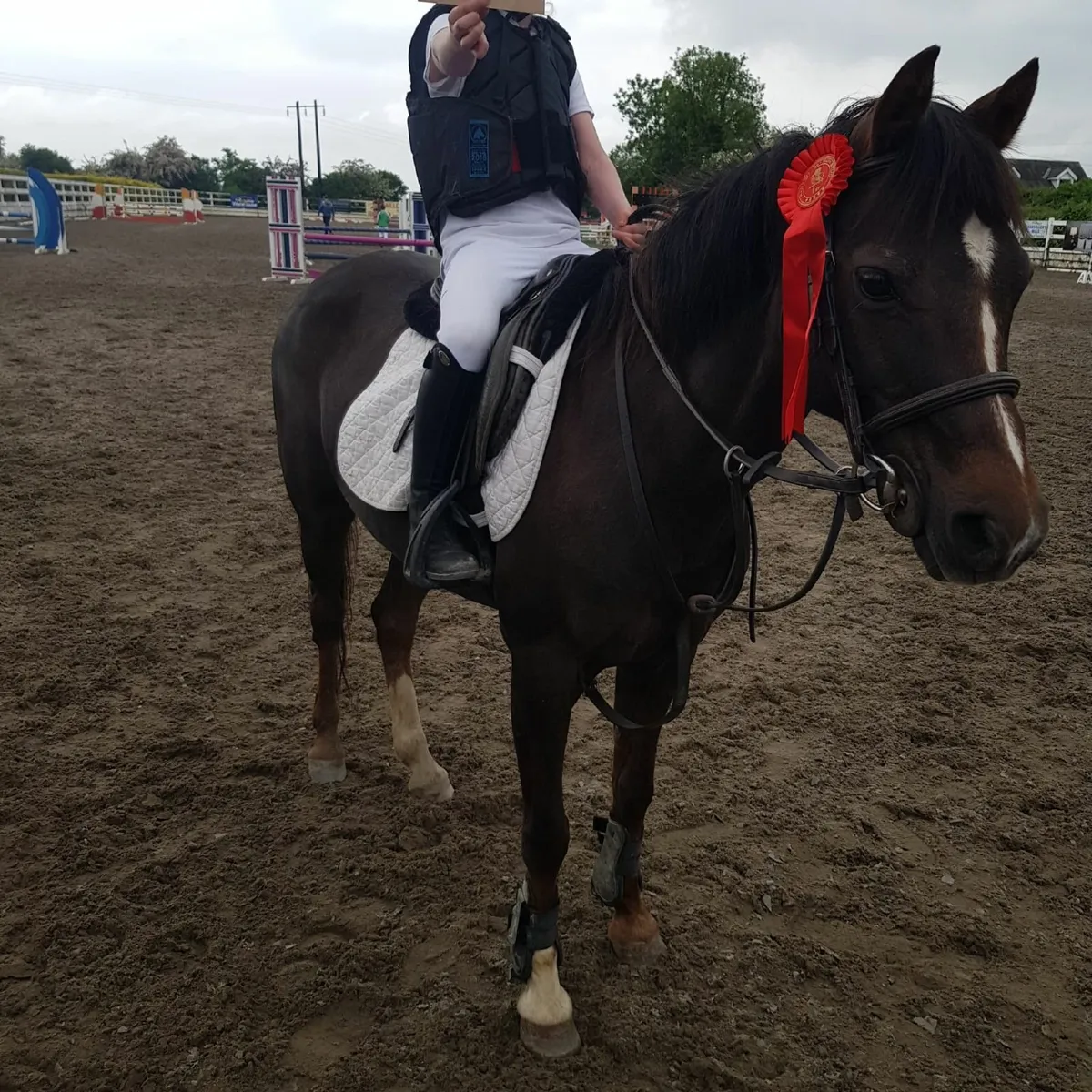 Pony - Image 2
