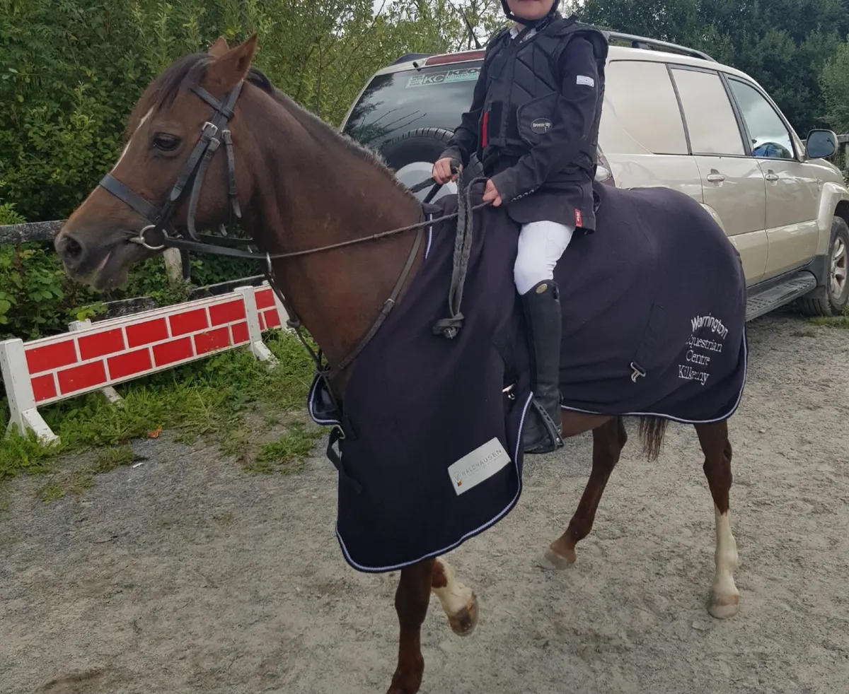Pony - Image 1